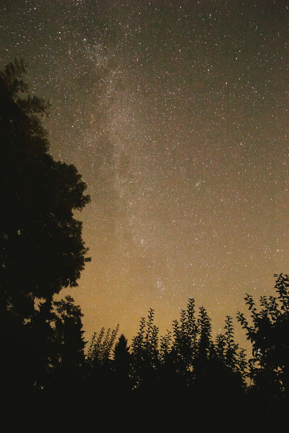photo of stars during night
