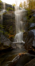 A serene waterfall surrounded by lush greenery under soft natural light.