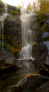 A serene waterfall cascading over mossy rocks surrounded by lush greenery under a soft morning light.