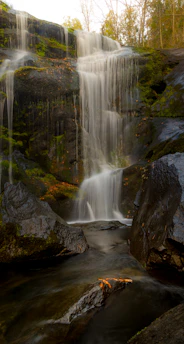 A serene waterfall cascading over mossy rocks surrounded by lush greenery under a soft morning light.