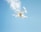 A white quadcopter drone is flying against a clear blue sky with some subtle clouds. The drone's propellers are in motion, and its camera is clearly visible on the underside.