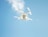 A white quadcopter drone is flying against a clear blue sky with some subtle clouds. The drone's propellers are in motion, and its camera is clearly visible on the underside.