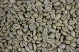 An abundance of unroasted green coffee beans with a smooth, matte texture. They are oval-shaped and densely packed together, varying slightly in size and hue.