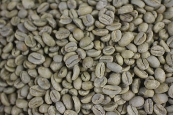 An abundance of unroasted green coffee beans with a smooth, matte texture. They are oval-shaped and densely packed together, varying slightly in size and hue.