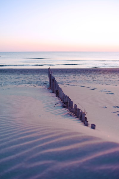 brown wooden fence on seashore at daytime