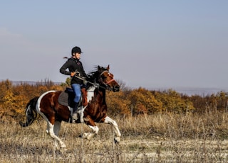 person riding on horse