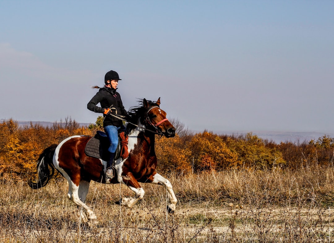 photo of Cluj-Napoca Trail riding near Hoia Forest