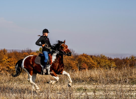 photo of Cluj-Napoca Trail riding near Piatra Secuiului