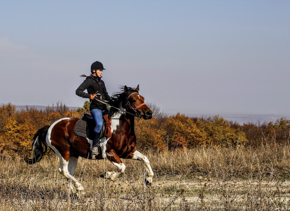 person riding on horse