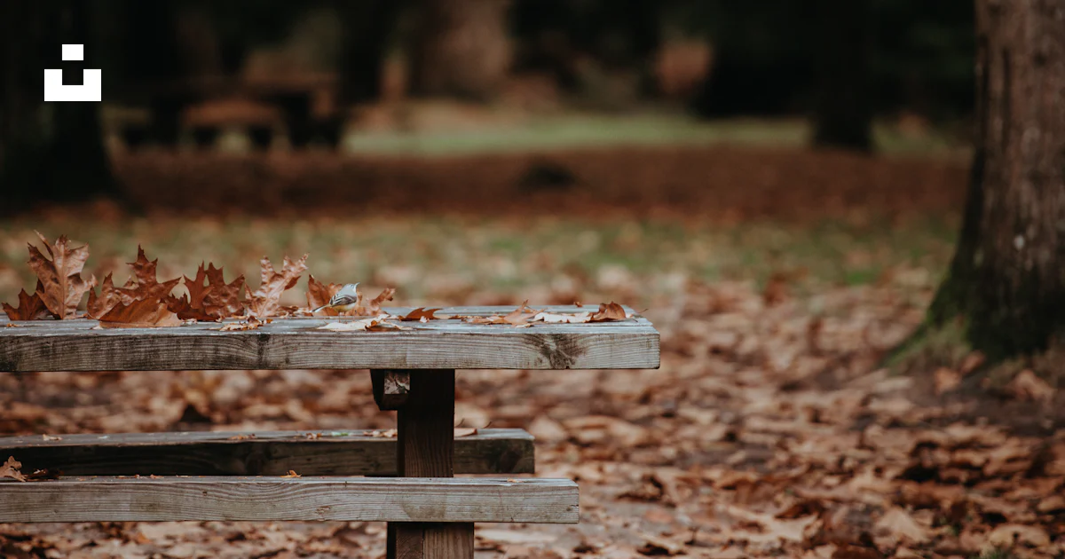 Withered leaves on gray wooden bench photo – Free Bench Image on Unsplash