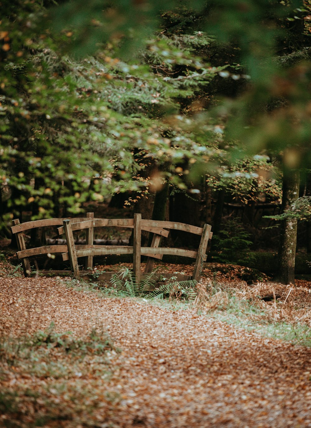 brown bridge near trees