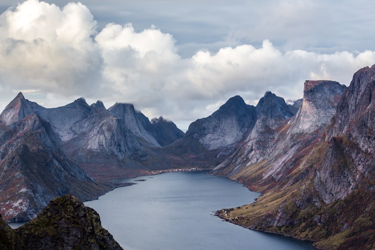 How to Make Rights of Nature Possible: A Newcomers' Guide to Changing Our Relationship with Nature