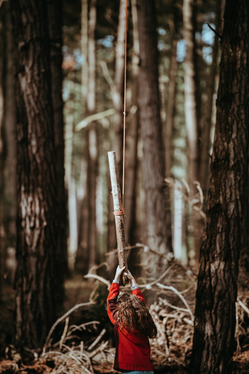 selective focus photography of girl reaching hanging branch