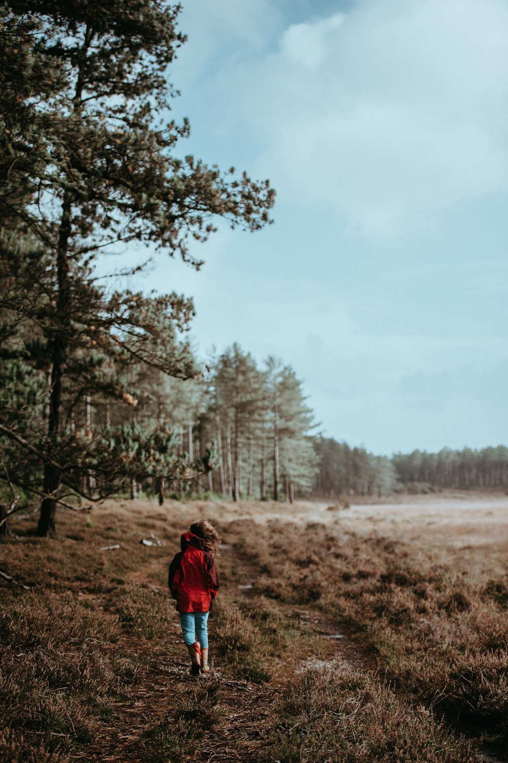 person walking near tall tree under white sky