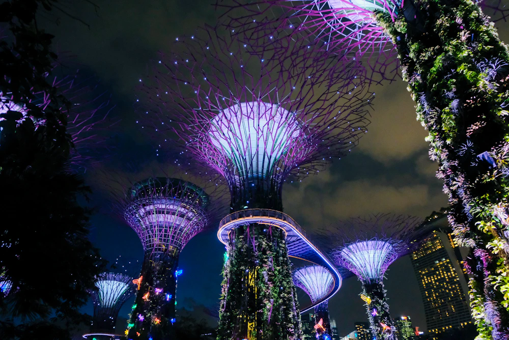 Supertrees at Gardens by the Bay
