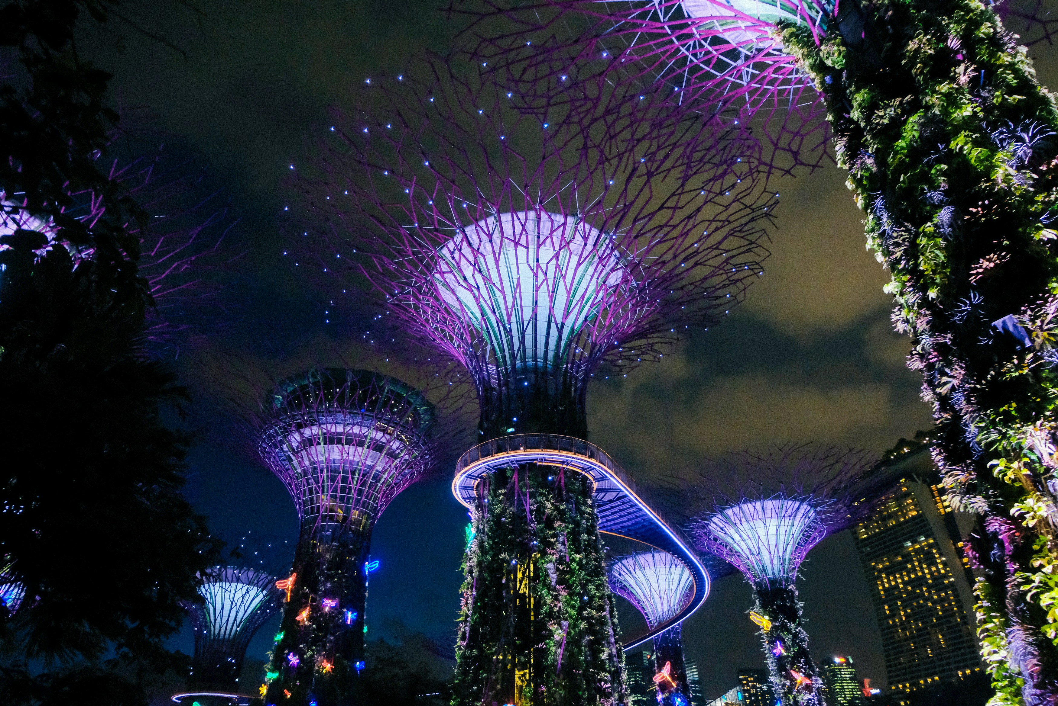 Gardens by the bay