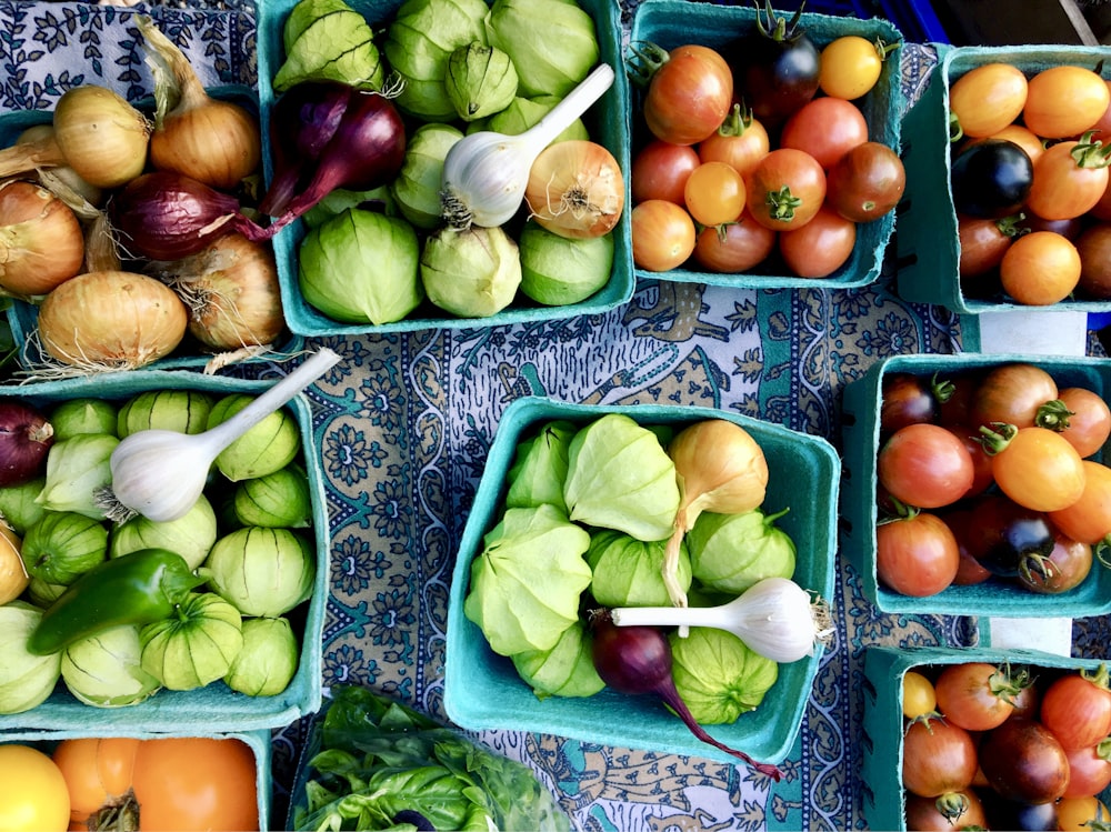 basket of tomato, garlic, and onions on white and blue floral surface