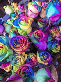 Rosas tintadas em cores variadas