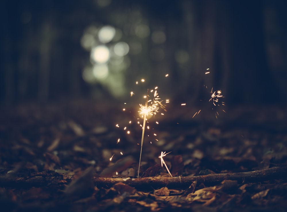 Fotografia a fuoco selettivo di stelle filanti