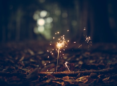 selective focus photography of sparklers season's greetings google meet background