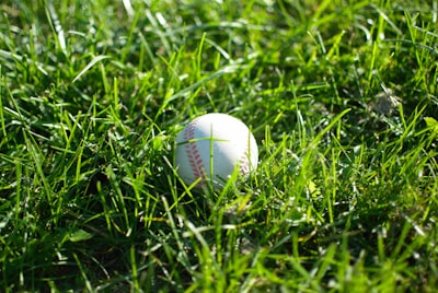 white baseball on top of green grass patuxet indians google meet background
