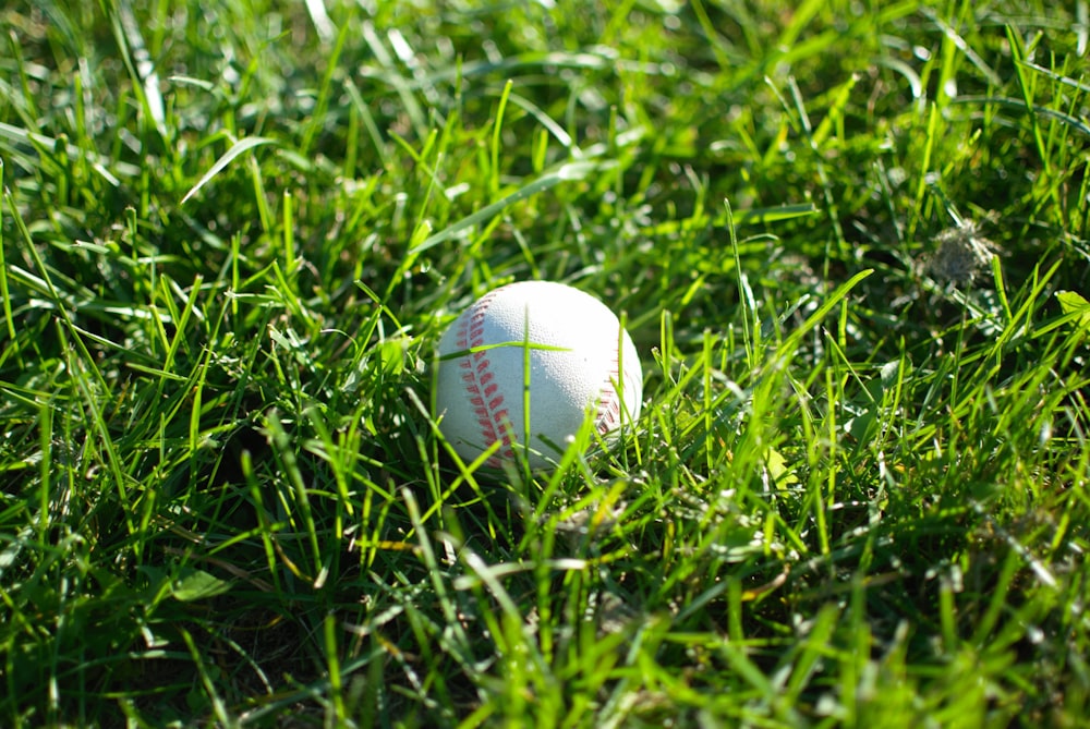 palla da baseball bianca in cima all'erba verde