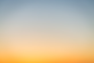 a couple of cows standing on top of a grass covered field