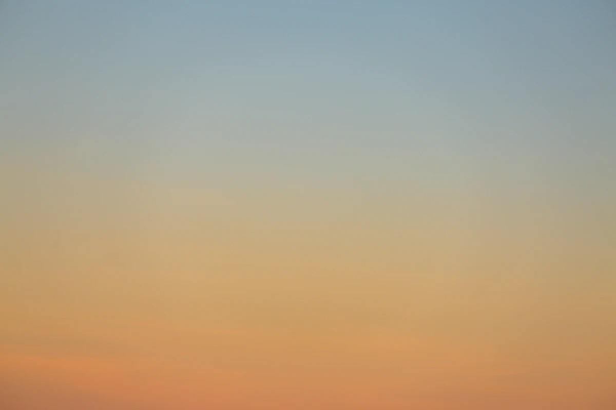 Diverse activities representing multiple types of intelligence