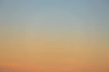 Dynamic Range
