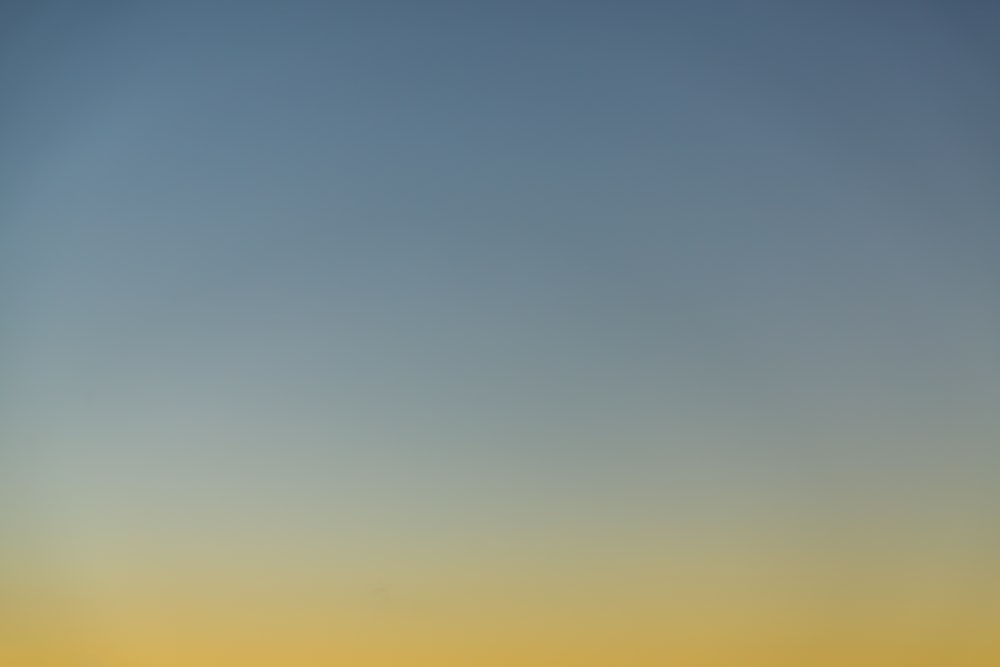 a group of people standing on top of a sandy beach