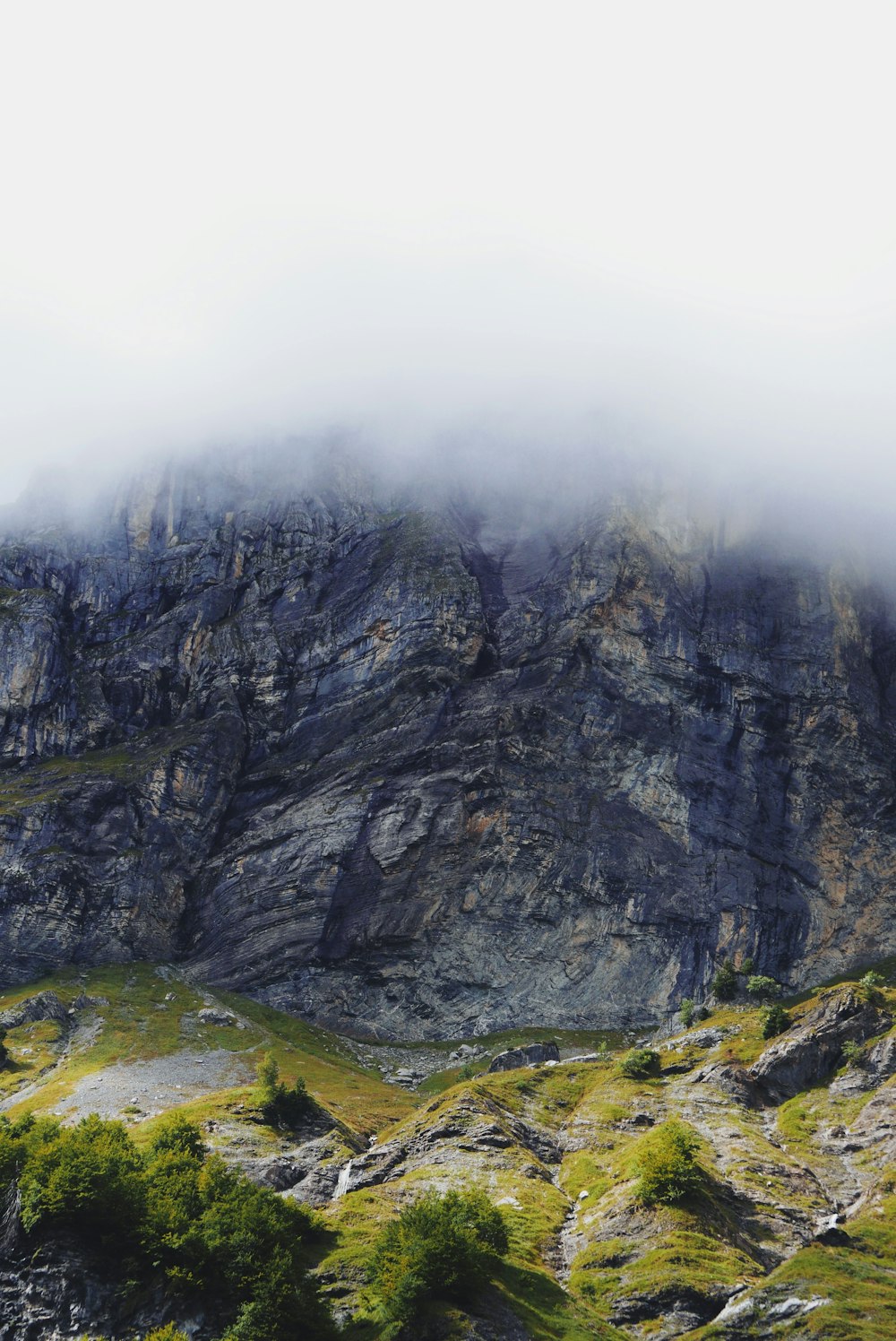 photography of foggy mountain