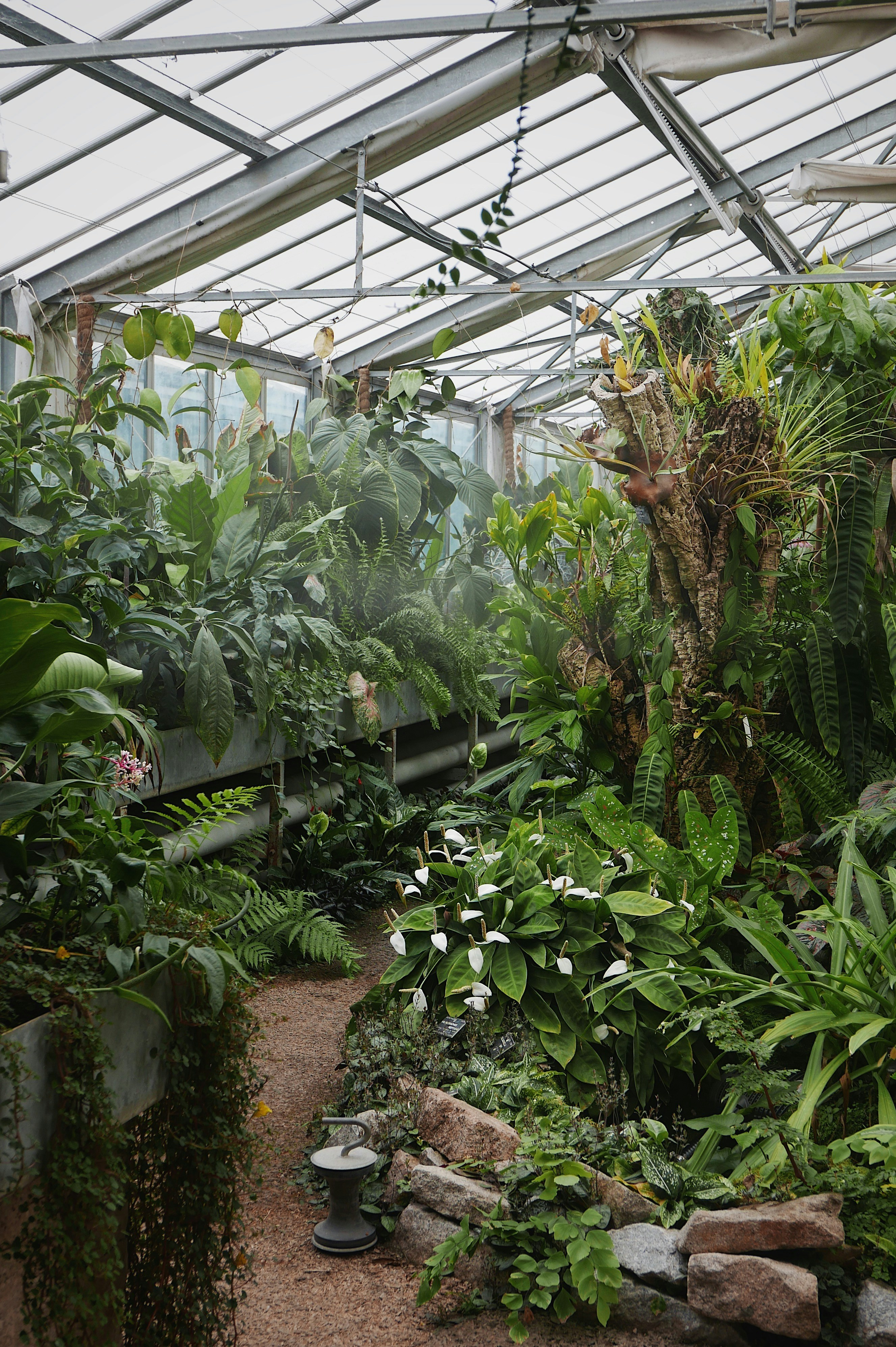 Plantas de interior y exterior