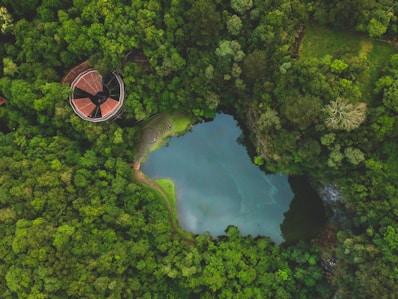 bird's eye photography of body of water and trees