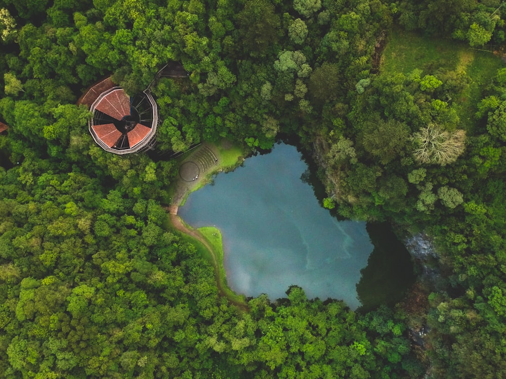 bird's eye photography of body of water and trees