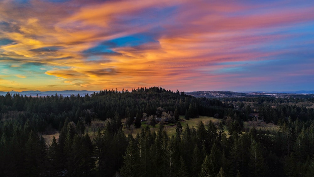 aerial photography of hill covered with trees at sunset