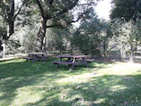 A serene family picnic scene with gentle sunlight filtering through trees.
