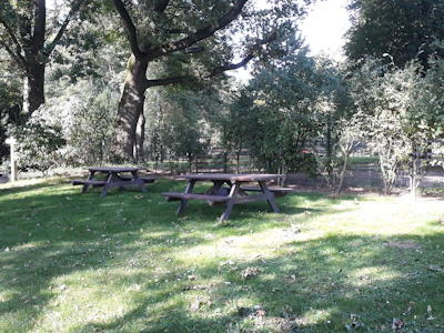 A serene family picnic scene with gentle sunlight filtering through trees.