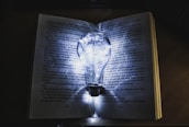 An open book with a light bulb above it, illustrating knowledge and creativity.