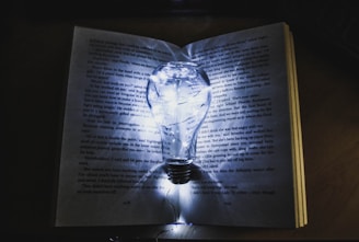 An open book with a glowing light bulb above, symbolizing new ideas in education.