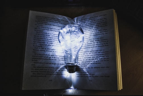 An open book with a glowing light bulb above, symbolizing new ideas in education.