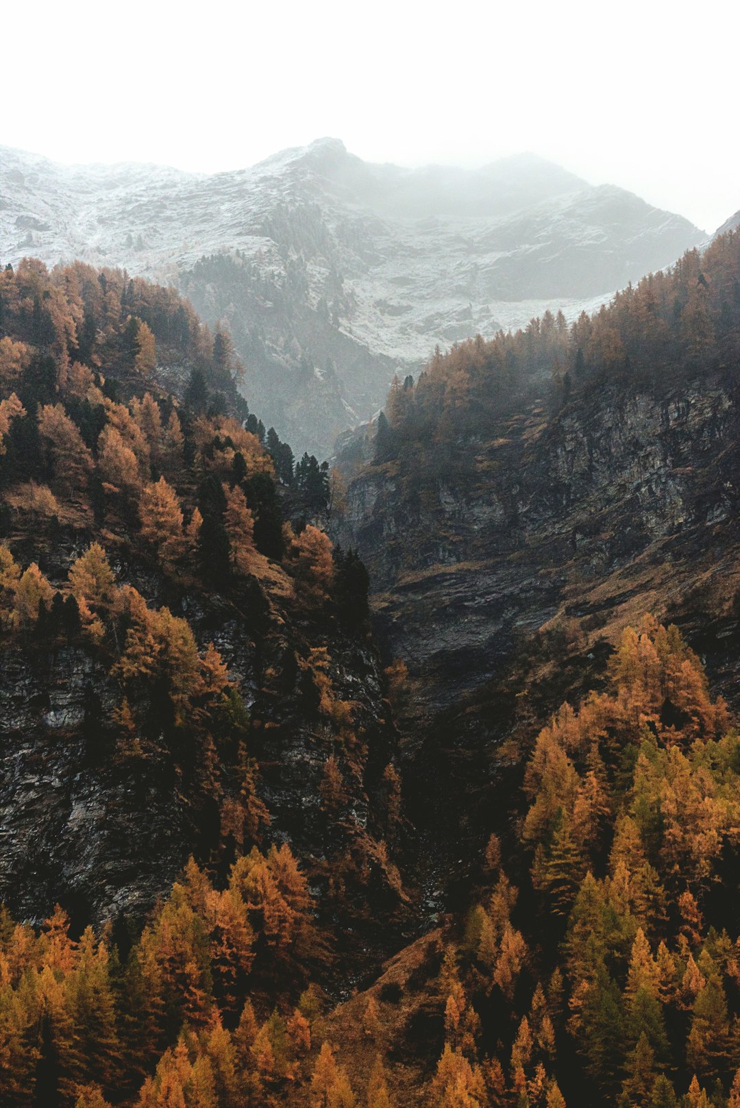 Hill station photo spot Rein in Taufers Valle Aurina