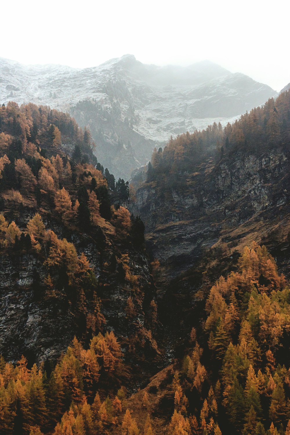 Vue aérienne des Fores Bruns et des Montagnes Noires