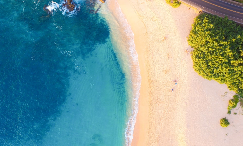 aerial view of seashores