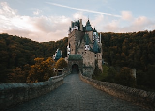 empty pathway towards castle