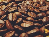 A close-up view of roasted coffee beans with a rich, dark texture. The beans have a glossy finish and varying shades of brown, ranging from dark chocolate to a lighter, earthy hue.