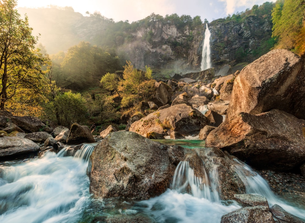 waterfall near trees at daytime timelapse photo