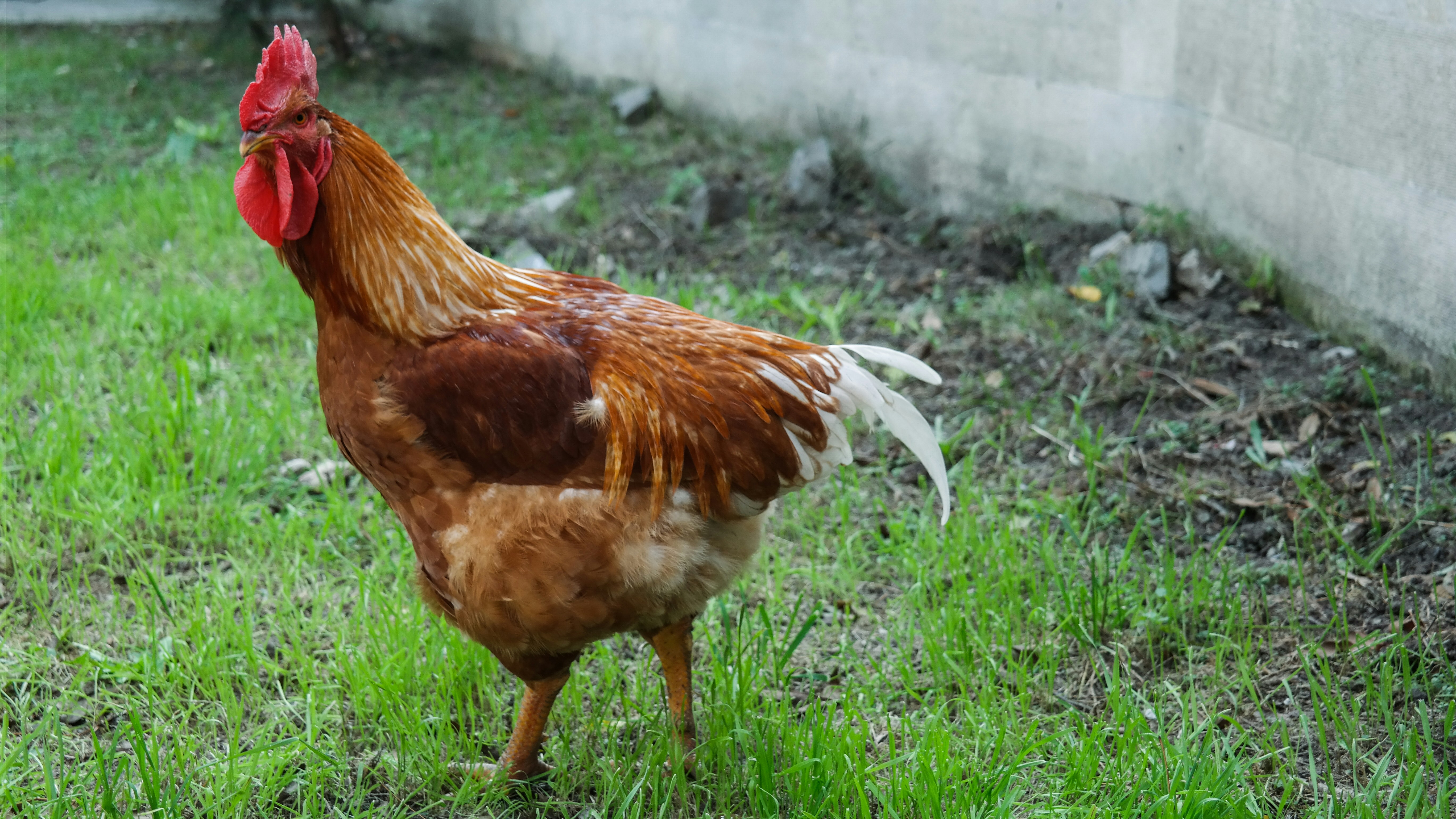 photo 1508693128723 61e3b7f9d212?ixlib=rb 4.0