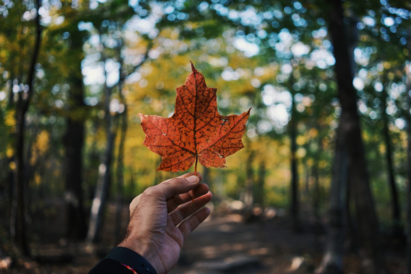 🍁We Support Local!🍁