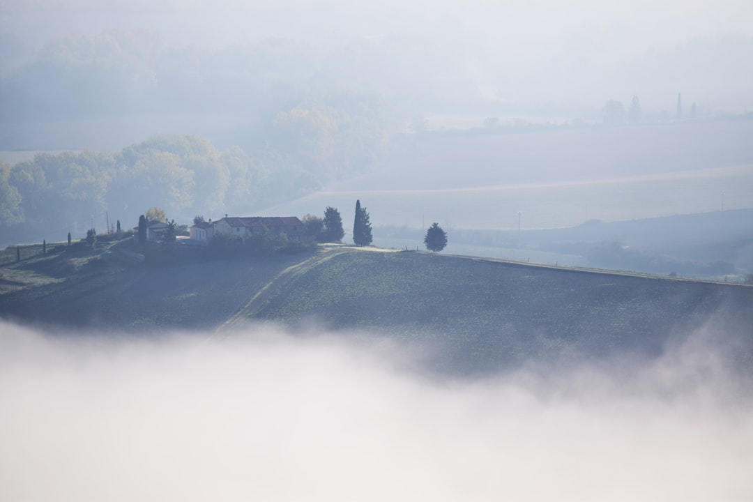 Travel Tips and Stories of Montescudaio in Italy