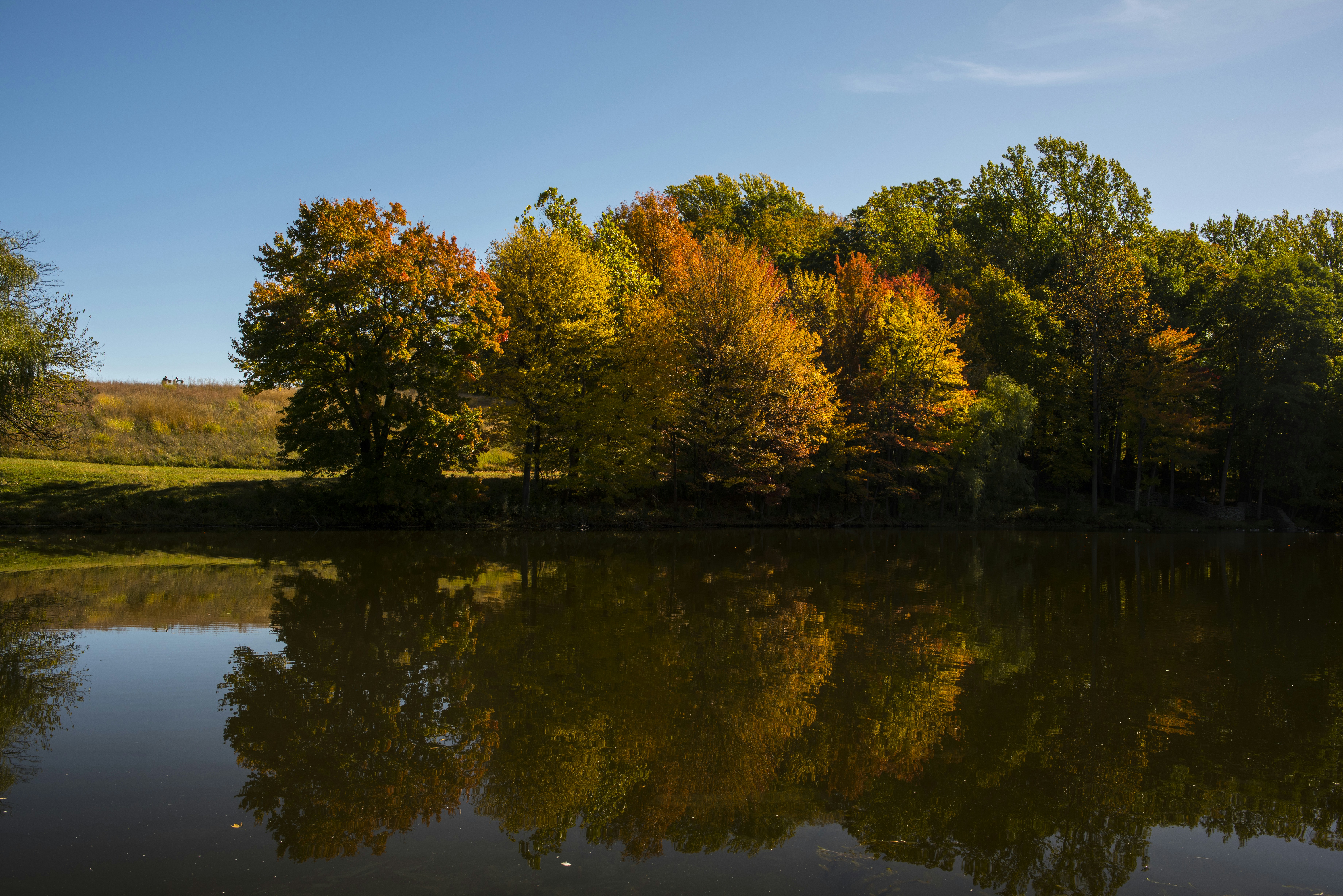 Photo by jeffreyblum